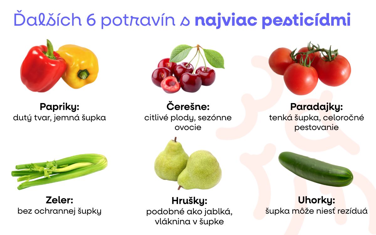 (Slovenčina) - 2025-08-31T185659.716